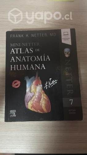 Mini - Netter, atlas de anatomía séptima edición