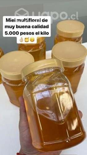 Miel multifloral y huevos de campo