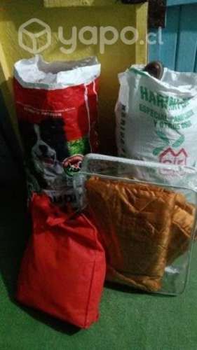 Lote de ropa y zapatos