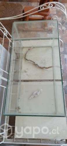 Acuario Pecera Terrario