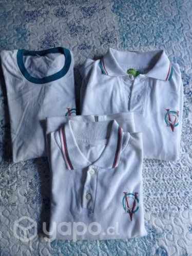 Poleras Colegio Pedro de Valdivia