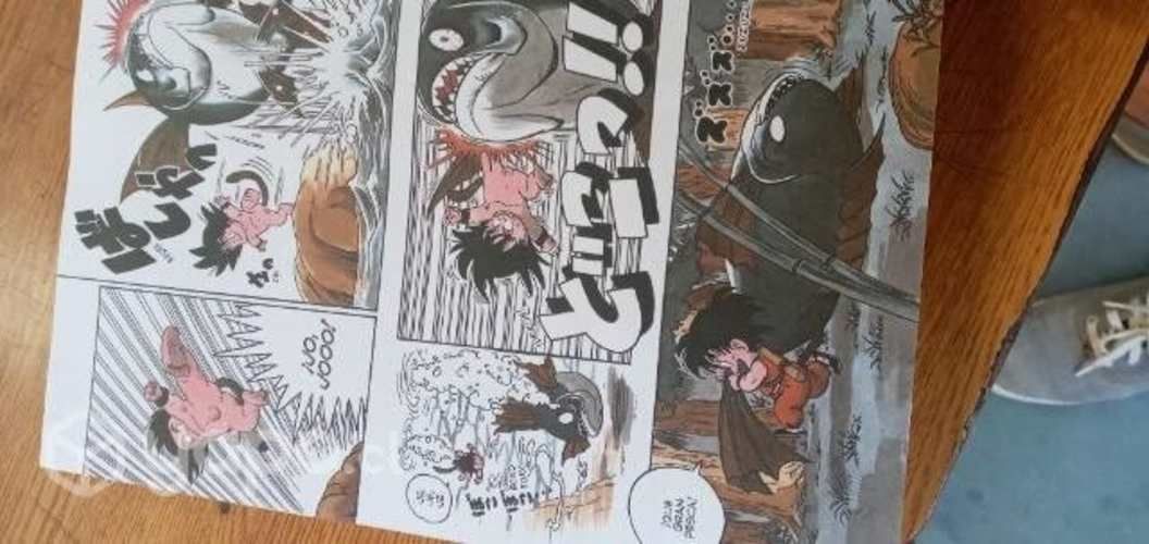 Dragon ball comic