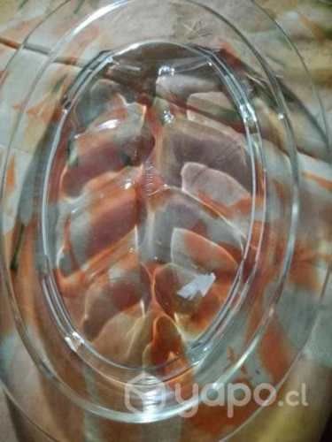 Bandeja de colección nueva sin uso original