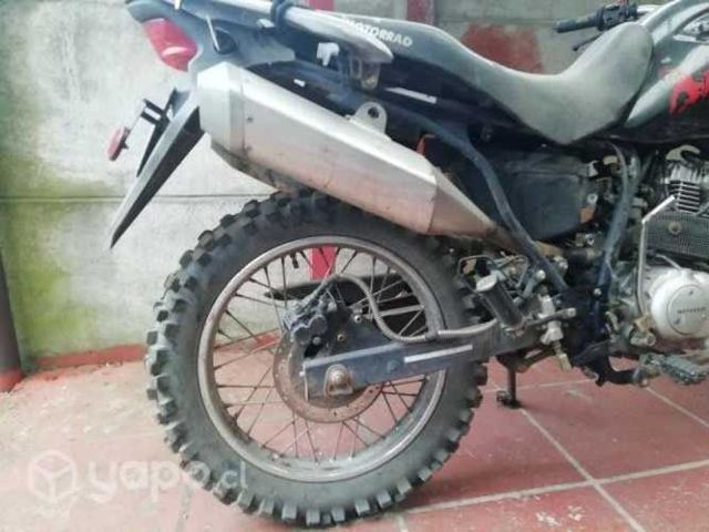 Motorrad TTX Limited 250 (2016)