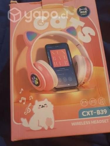 Audifonos de gatito
