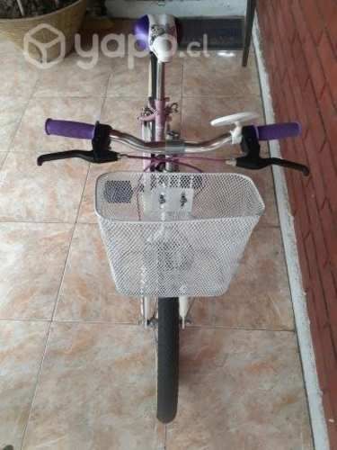 Bicicleta bianchi aro 20