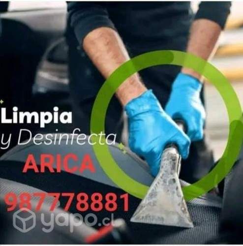 Sanitizado tapiz a domicilio
