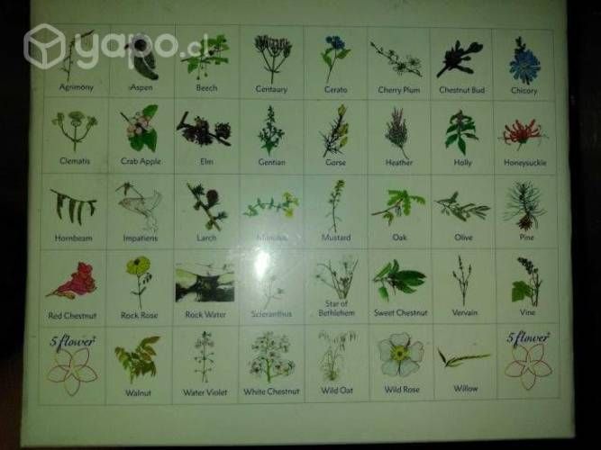 Set 10 ml flores de bach healing herbs