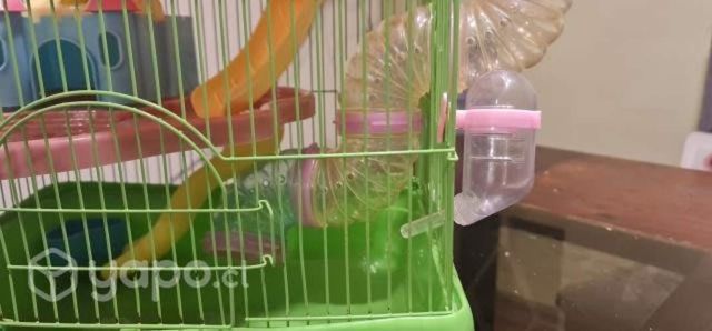 Casa hamster 3 pisos