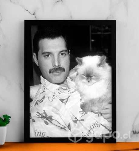 Cuadro Decorativos Artistas y gatos