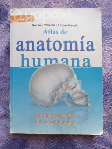 Atlas fotográfico de anatomía humana mini yokochi