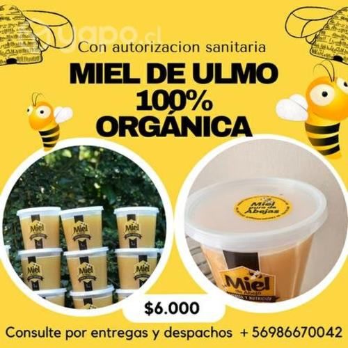 Miel de ulmo organica