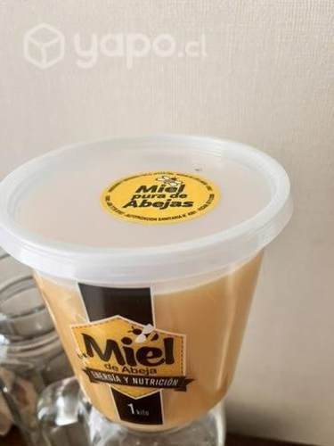 Miel de ulmo organica