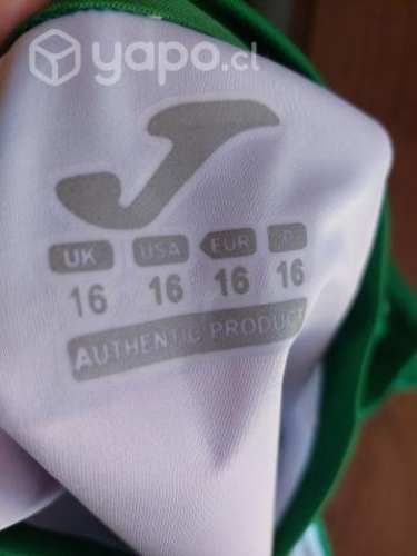 Camiseta Deportes Temuco