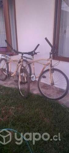 Bicicletas
