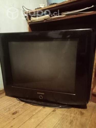 Televisor 21