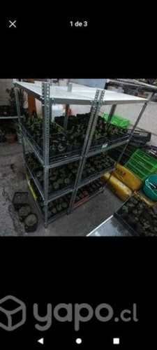 Estantes simples Galv