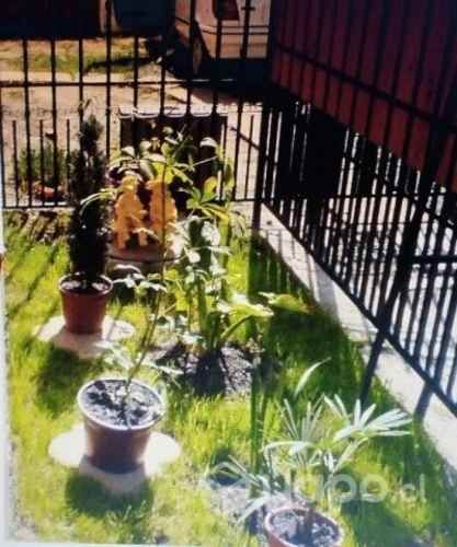 Vendo casa de 2 piso