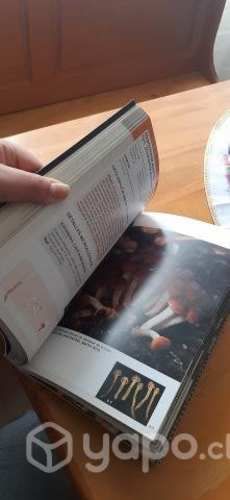 Hongos de chile volúmen 2