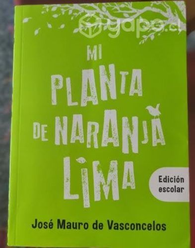 Mi Planta de Naranja Lima