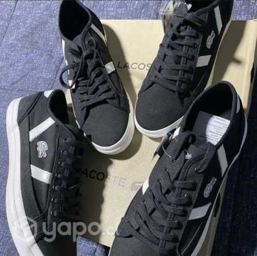 Zapatilla lacoste low original
