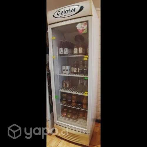 Visicooler 350 litros