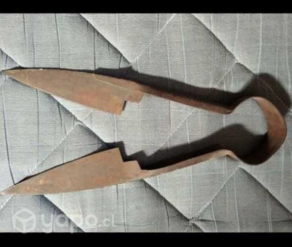 Tijera de trasquilar antigua ( del campo chileno )