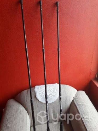 Bastones de trekking