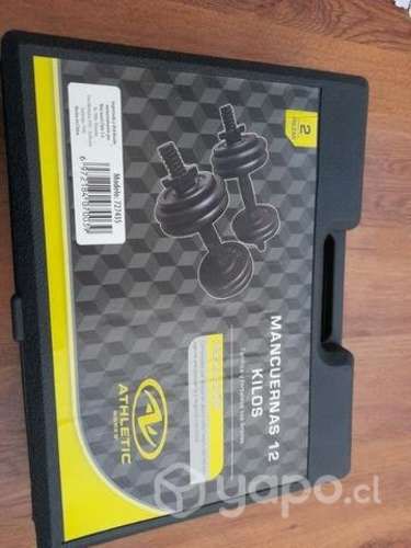 Mancuernas de discos 12 kg entre las 2