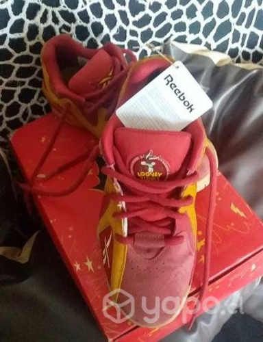 Zapatillas basketball