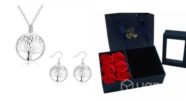 Aros y collar plata esterlina con joyero de rosas