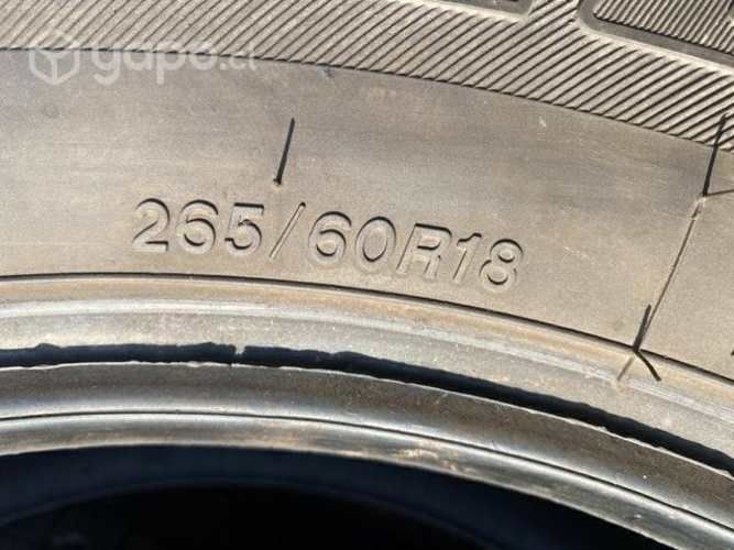 Neumaticos Bridgestone