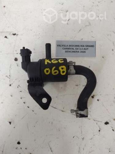 Valvula (KGC068) Kia Grand Carnival EX 3.3 AUT