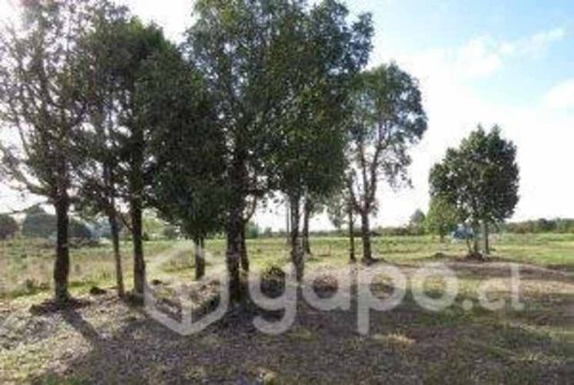 Terreno 7.500 m2 Recta Chacao Ancud - Chiloé