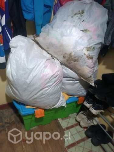 Sacos de ropa