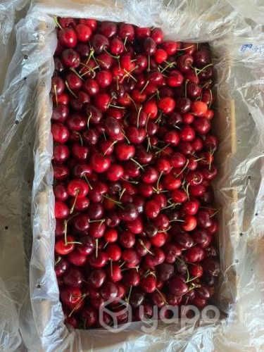 Cerezas.