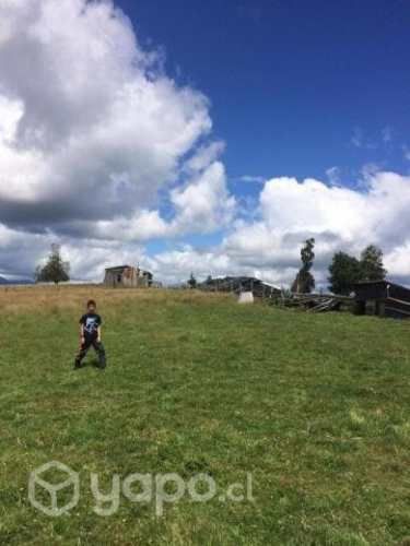 Campo en venta Panguipulli