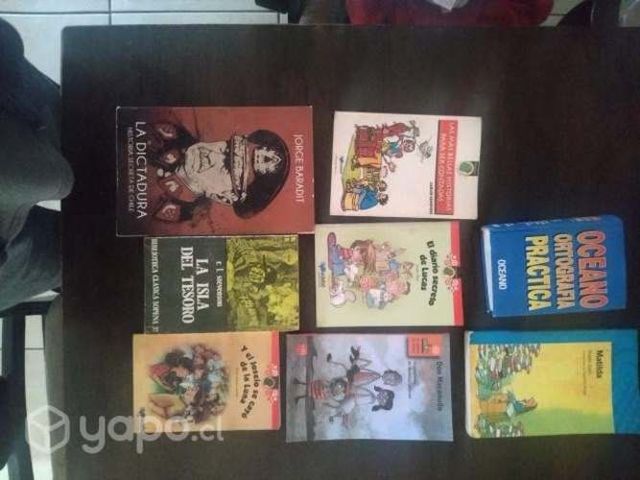 Lote de libros y cuentos