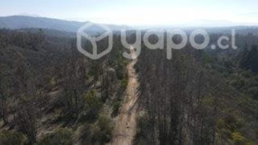 Parcelas En Limache de 5000m2