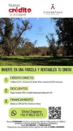 Parcelas En Limache de 5000m2