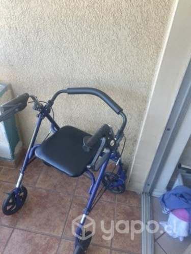 Burrito en excelente condiciones!!!!