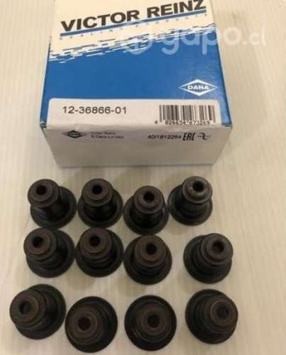 Jgo. reten de valvula BMW serie Z4/X5/1/X6/X1/4/2+