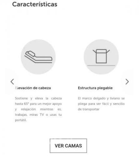 Cama eléctrica nueva