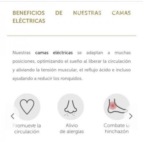 Cama eléctrica nueva