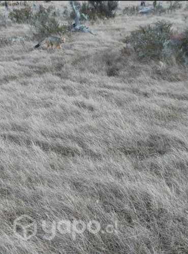 Parcela media hectárea