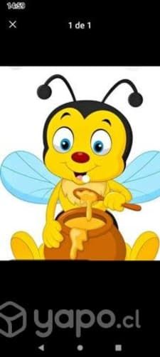 Miel abeja