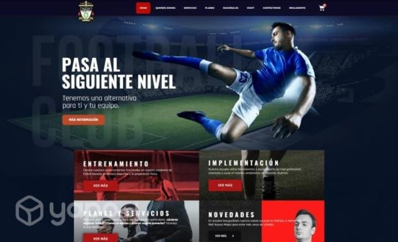 Paginas web profesionales