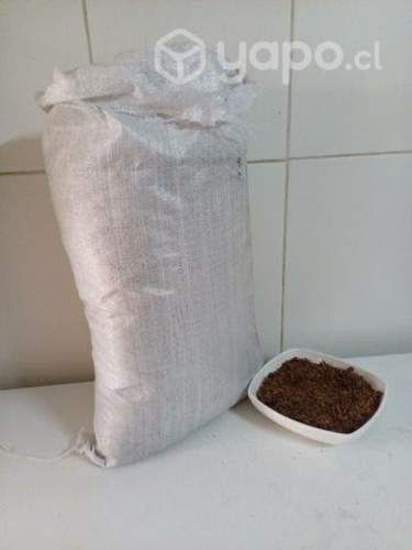 SUSTRATO fibra de coco