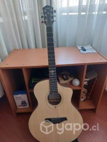 Guitarra palmer