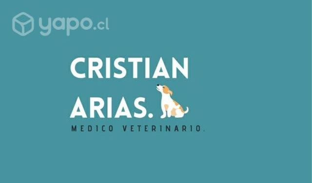 Médico Veterinario a domicilio